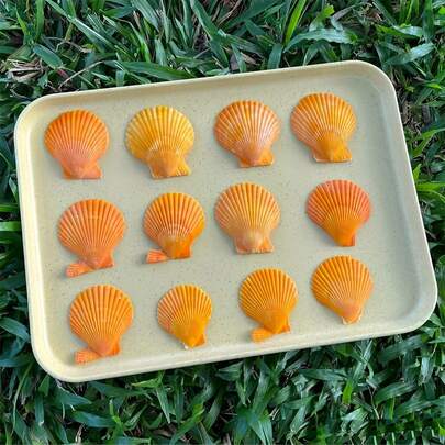 50g/100g Conchas de vieira naturales de color naranja amarillo, conchas de vieira de mar natural para manualidades, pintura, joyería, hornear, conchas blancas de playa, utilizadas para decoración del hogar DIY, acuario y decoración del paisaje del tanque de peces