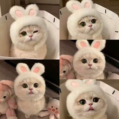 Cute Pet Cat/Dog Hat, Fun Headwear/Head Cover, Cat Stuff, Small Dog, Cat Clothes, Soft Small Pets Headwear, Suitable For Cats And Puppy, Puppy Supplies