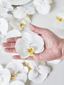 1/6/12 Peças Cabeças de Flores de Orquídea Phalaenopsis Artificiais, Flores de Orquídea Phalaenopsis Falsas de PU de 3.9 Polegadas, Atacado de Cabeças de Flores de Orquídea Phalaenopsis Artificiais para Decoração de Buquês de Casamento, Artesanato DIY, Festa de Noiva, Fotografia, Decoração de Feriados, Aniversário, Formatura, Decoração Doméstica, Suprimentos Escolares, Painel de Parede Floral DIY, Decoração de Carro de Casamento, Decoração de Arco - Branco - Visão 2