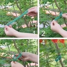 300/200/100入 可重複使用 6英吋魔鬼氈園藝植物紮帶 多功能可調式尼龍園藝繩，適用植物支撐與藤蔓，防滑魔鬼氈植物紮帶，適合攀緣植物、支撐與園藝應用，園藝維護工具，適用庭院、草坪與花園 - A - 查看 4