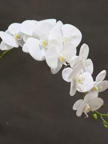 1 pieza Rama artificial grande de orquídea Phalaenopsis, decoración del hogar, decoración de boda, suministros para fiestas y festivales - Blanco - Ver 3