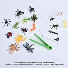 Lupa para niños, modelo de cápsula de insecto de dibujos animados, tarjeta de reconocimiento lindo para preescolar con clip - Multicolor - Ver 7