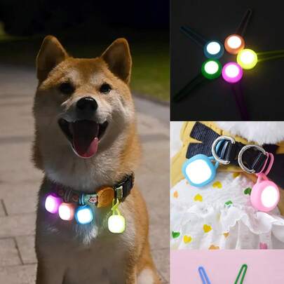 1个LED宠物发光灯，小型犬LED安全闪光夜灯，宠物项圈吊坠，适合户外散步和训练