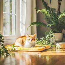 1pc Bunny Bed,Guinea Pig Hamster Warm Mats Bed Hamster Sleep Pad Squirrel Hedgehog Soft Cushion Rabbit Chinchilla Bed Mat House Nest - Multicolor - View 10