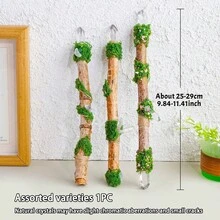 1/3 根天然透明石英魔杖 | 灵气疗愈能量魔法棒,灵性巫术祭坛家居花园装饰 - 白單晶權杖 - 查看 3
