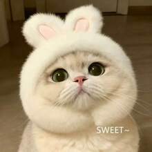 Cute Pet Cat/Dog Hat, Fun Headwear/Head Cover, Cat Stuff, Small Dog, Cat Clothes, Soft Small Pets Headwear, Suitable For Cats And Puppy, Puppy Supplies - Multicolor - View 7