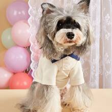 网球Polo衫狗狗服装，轻便夏季Polo领套装，适合贵宾犬、泰迪熊、宠物、社交媒体明星 - 白色 - 查看 4
