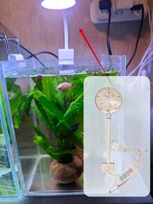 Đèn LED chiếu sáng bể cá, đèn trang trí cho bể cá cảnh, bể cá để bàn, bể thủy sinh, đèn kẹp nhỏ. - Phích cắm loại B của Mỹ (220-240V) - Xem 3