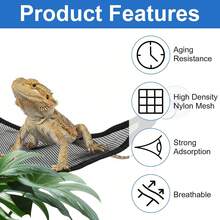 Maned Lizard Hammock, Gecko Hammock, Breathable Mesh Reptile Hammock Suitable For Maned Lizard, Snake, Chameleon, Gecko Reptile Hammock Stand - Multicolor - View 3