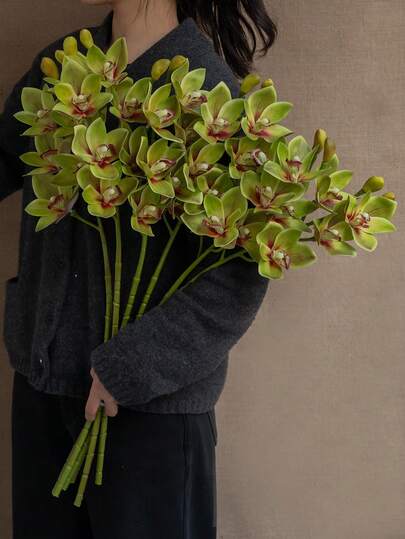 1 支高档仿真蝴蝶兰，带 6 根花茎，逼真花卉装饰，适用于家居和酒店