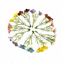 30 Stück winzige Schleierkraut Blumen, mehrfarbiger künstlicher Schleierkraut Strauß, frischer Landhaus-Stil Stoffblumen, DIY Handwerks-Dekorationsmaterial, zarte durchscheinende Blütenblätter, realistische Textur, mehrfarbig gemischt um verschiedene Kreationsbedürfnisse zu erfüllen, mit schlanken grünen Stielen kombiniert um das lebendige frische Gefühl von echtem Schleierkraut nachzuempfinden. Doppelter Blütenkopf-Design, kompakt und exquisit, ohne leichtes Ausstreuen oder Verblassen. - Verschiedenfarbig - Übersicht 11