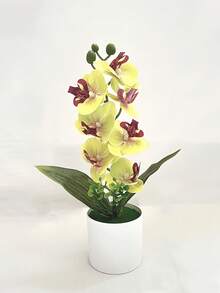 1pc Artificial Phalaenopsis Orchid Potted Plant - White - View 4