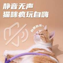 Đồ chơi trêu chọc mèo, dây cắn tự giải trí, đồ chơi nhai yên tĩnh, đồ dùng cho mèo con. - Dây thừng cắn ~ Tất cả mọi thứ màu cam - Xem 5