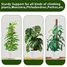 30/40/50cm Coconut Fiber Plant Climbing Trellis, Gardening Vine Climbing Support Frame - A - View 4