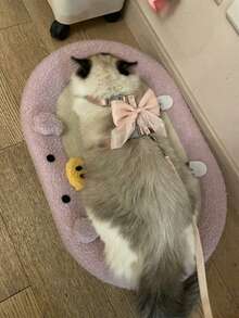 PETCHIC Harnais pour animaux de compagnie avec grand nœud rose attrayant et ensemble de laisse, équipement de camping et de promenade printanier pour chiens et chats, sangle de poitrine de laisse réglable, accessoires doux et confortables pour les activités extérieures avec chiens et chats - Rose bonbon - Voir 11