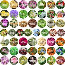 50 Bags Dried Flowers Candle And Soap Making, Variety Dried Herbs Kit For Witch Altar Supplies, Pagan Ritual, Bulk Botanical Lavender Rose Petals Rosemary Ideal For Resin Pressed Flowers DIY Craft - 50 Bags - View 6