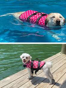 1pc Reflective Adjustable Swimsuit Vest, Boating Sailing Buoyancy Aid, Reflective Pet Life Jacket For Water & Ocean Activities Safety - Multicolor - View 4