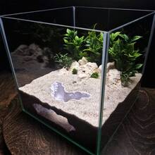 Hang động chìm dưới đáy bể cá in 3D | Nơi ẩn náu cho cá nhỏ và tôm, trang trí cảnh quan bể cá - Thủy cung hạnh phúc - Xem 5