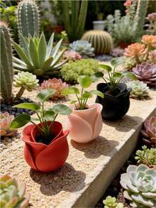 1/2 pièces Plantes succulentes en forme de rose en pot - Convient pour la décoration intérieure et extérieure, idéal pour le rebord de fenêtre, le dessus de table, la cuisine, la salle de bain et le jardin. Idéal pour la plantation d'herbes, de succulentes et de petites plantes. Cadeau de décoration pour la maison. Détails de pétales délicats, pot de drainage respirant, convient pour l'aménagement du balcon, jardinière à succulentes toutes saisons, cadeau de jardinage pour la décoration de la maison - Multicolore - Voir 11