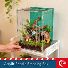 Large Acrylic Spider Enclosure Terrarium Tank, DIY Assembly Tarantula Habitat Box, 360° Transparent Display Case, Ventilated Jumping Spider Cage, Mini Terrarium & Figurine Display - Multicolor - View 5