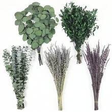 135+ Pcs Mixed Dried Eucalyptus & Lavender Flowers For Shower, Preserved Natural Eucalyptus Leaves For Wall Hanging, Plant Fragrance, Dried Florals For Vase Fillers, Wedding, Green Bathroom Decor - dried flower - 查看 11