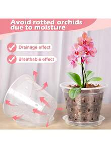 5/10个装 5.5英寸透明兰花盆，带孔，透气开槽塑料兰花盆，带排水孔，有利于根系健康，室内外均可使用（5英寸） - A - 查看 3