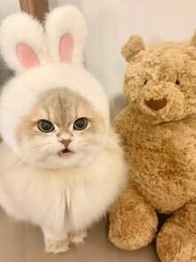 Cute Pet Cat/Dog Hat, Fun Headwear/Head Cover, Cat Stuff, Small Dog, Cat Clothes, Soft Small Pets Headwear, Suitable For Cats And Puppy, Puppy Supplies - Multicolor - View 9