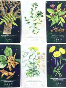 52张精油疗愈神谕卡，英文版，高品质入门塔罗牌，创意生日礼物，送给朋友 - 彩色 - 查看 5