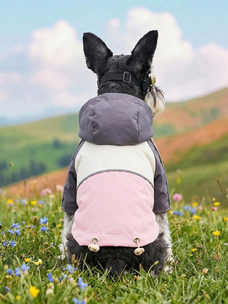 PETCIRCLE 1件宠物室内外服装,欧韩风贵宾犬、泰迪犬、小型犬、幼犬、猫咪服装,休闲舒适防风外套 - 粉灰色 - 彩色 - 查看 1