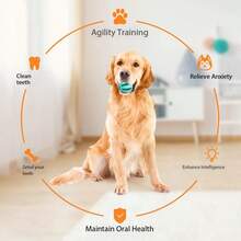 1个小型犬玩具球 - 益智训练 - 耐啃咬 - 磨牙 - 橡胶材质 - 自娱自乐 - 缓解压力 - 宠物 - 西瓜造型 - 零食投放球 - 彩色 - 查看 7