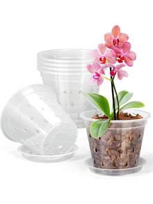 5/10个装 5.5英寸透明兰花盆，带孔，透气开槽塑料兰花盆，带排水孔，有利于根系健康，室内外均可使用（5英寸） - A - 查看 1