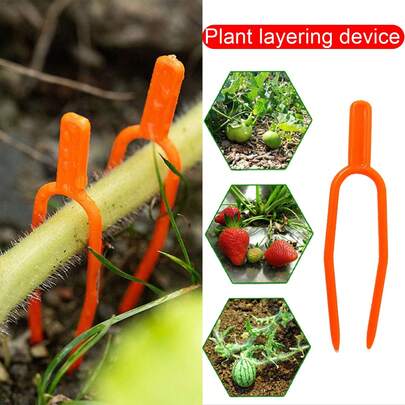 100 kẹp nhựa đỡ cây trồng trong vườn, kẹp cố định dây leo, kẹp giàn, kẹp cố định dưa hấu dâu tây, kẹp rau củ, thích hợp cho cây con, cà chua, dụng cụ làm vườn.