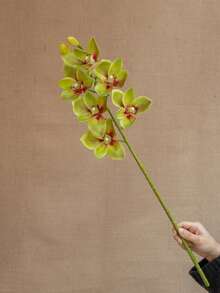 1pc High-End Artificial Phalaenopsis Orchid Flower With 6 Stems, Lifelike Floral Decor For Home And Hotel - Multicolor - View 12