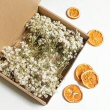 50pcs Pure White Artificial Mini Baby's Breath Flowers - Delicate DIY Handmade Flowers, Suitable For Wedding, Home And Office Decoration, Party And Garden - Multicolor - View 10