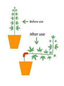 20pcs Plastic Garden Potted Plant Bending Tube Clips, Red & Green Plant Training Fixator 90 Degree Bending Clips - Multiple Styles - View 12