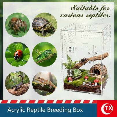 Large Acrylic Spider Habitat Box, DIY Assembly Tarantula Enclosure, 360° Transparent Display Case, Ventilated Jumping Spider Cage, Mini Garden And Small Sculpture Display