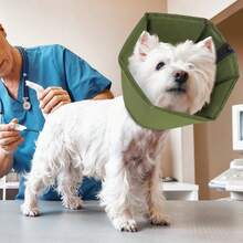 Collar isabelino suave para mascotas, plegable, impermeable, collar de cono silencioso para perros, cono post-cirugía, verde - Ver 6