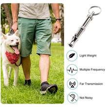 Dog Whistle, Dog Training Whistle, Anti-Barking Whistle, Ultrasonic Whistle - Silver - View 1