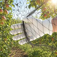 Heavy-Duty Black Garden Bird Netting - Expandable Large Mesh Reusable Breathable Cover, Suitable For Vegetables, Fruit Trees, And Plants - Durable Barrier Against Animals And Insects, Easy-To-Install Garden Protective Net, Vegetable Cover - A - View 9