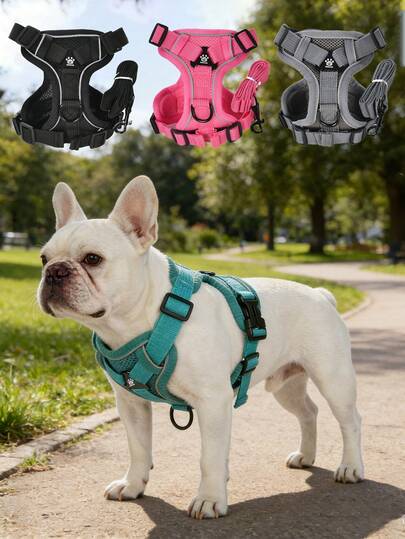 HOLAPET 一套反光网眼狗狗胸背带和150厘米牵引绳，柔软透气防拉扯宠物背心胸带，适合小型和中型犬猫，防勒颈防逃脱，适合幼犬。
