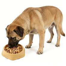 Anti-Choking Slow Feeder Dog Bowl - Interactive Pet Puzzle Bowl With Non-Slip Base, Bloat Stop Lick Treat Dish For Small Medium Dogs, Slower Feeding Food Bowl Promotes Healthy Eating - Blue - View 11