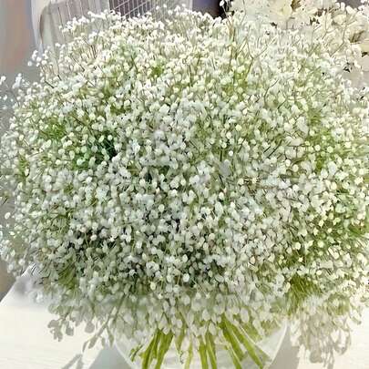 20 bông hoa giả, hoa baby's breath bằng lụa, cây xanh giả, hoa lụa, hoa khô, hoa baby's breath trắng nhân tạo, bó hoa giả sống động như thật để trang trí đám cưới, trang trí bàn phòng khách, đồ thủ công DIY, cành cây giả phong cách nông trại, trang trí tiệc tùng, bàn làm việc văn phòng, hoa thân dài sống động như thật