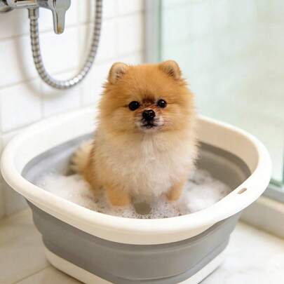 Foldable Pet Bathtub, Suitable For Small Dogs & Cats, Collapsible Washing Basin With Drainage Hole, Laundry Basket, Universal Bathtub For Cats & Dogs