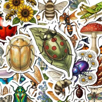 50 PCS Vintage Insect & Nature Stickers, Aesthetic Waterproof Vinyl Decals For Journaling, Scrapbooking, Laptops, Water Bottles, Skateboards, Stationery, DIY Crafts, Decorative Stickers For Adults, Plant & Bug Lovers, Bullet Journals, Room Decor, Gift For Nature Enthusiasts