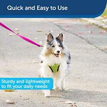 Nylon Leash - Helps Maintain Secure Connection on Walks - Durable Pet Leash with Easy Clip - 3/4 in. x 6 ft. - Raspberry - Rosa frambuesa - Ver 4