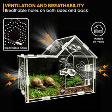 Transparent Acrylic Jumping Spider Enclosure Breeding Box Spliced Reptiles Geckos Insect Ventilated Terrarium For Tarantula - Clear - View 3