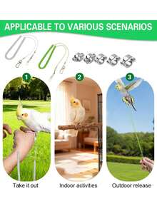 6pcs Extendable Bird Flight Training Leash Set, Includes 5 Size Anti-Bite Foot Rings, Elastic Buffer Anti-Escape, Suitable For Parrots, Cockatoos, Lovebirds, Macaws Outdoor Flight Training To Prevent Loss, Applicable For Yard, Park Bird Walking, Also A Thoughtful Gift For Bird Owners - Multicolor - View 6