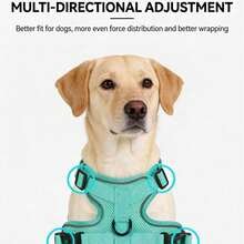 Bộ dây đeo và dây dẫn phản quang cho thú cưng, phù hợp cho chó và mèo, dây đeo ngực điều chỉnh được chống thoát hiểm cho chó nhỏ với lưới mềm mại. - màu xanh lá - Xem 4