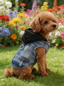 1pc New Hooded Harness Vest, Suitable For Small Dogs Like Poodle, Bichon Frise, Teddy, Spring/Autumn Pet Clothes - Black - View 9