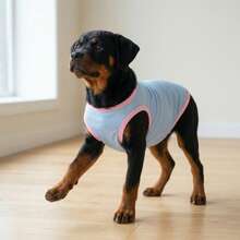 Dog Tank Top, Dog Vest, Soft & Breathable Pet Summer T-Shirt, Stretchy Sleeveless Athletic Tank Top Clothing For Running Walking, Dog Apparel For Small Medium And Large Breed - Blue With Pink - Multicolor - View 3